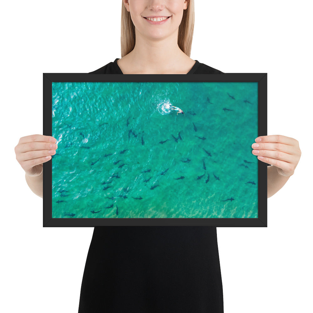 Swimming With Sharks in the Sea Framed poster
