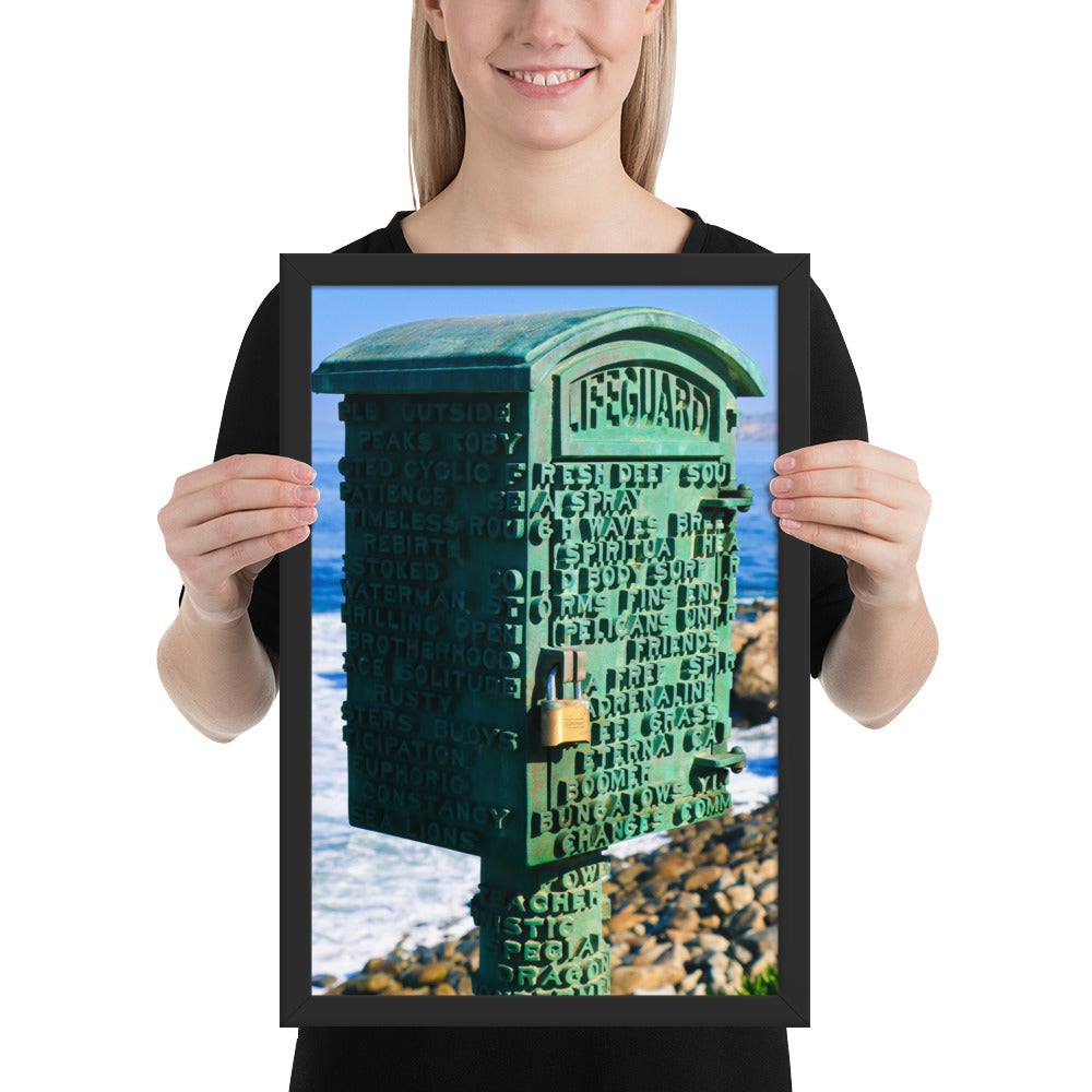 La Jolla Green Box Framed poster