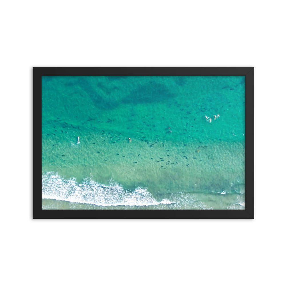 Sharks & swimmers Framed poster
