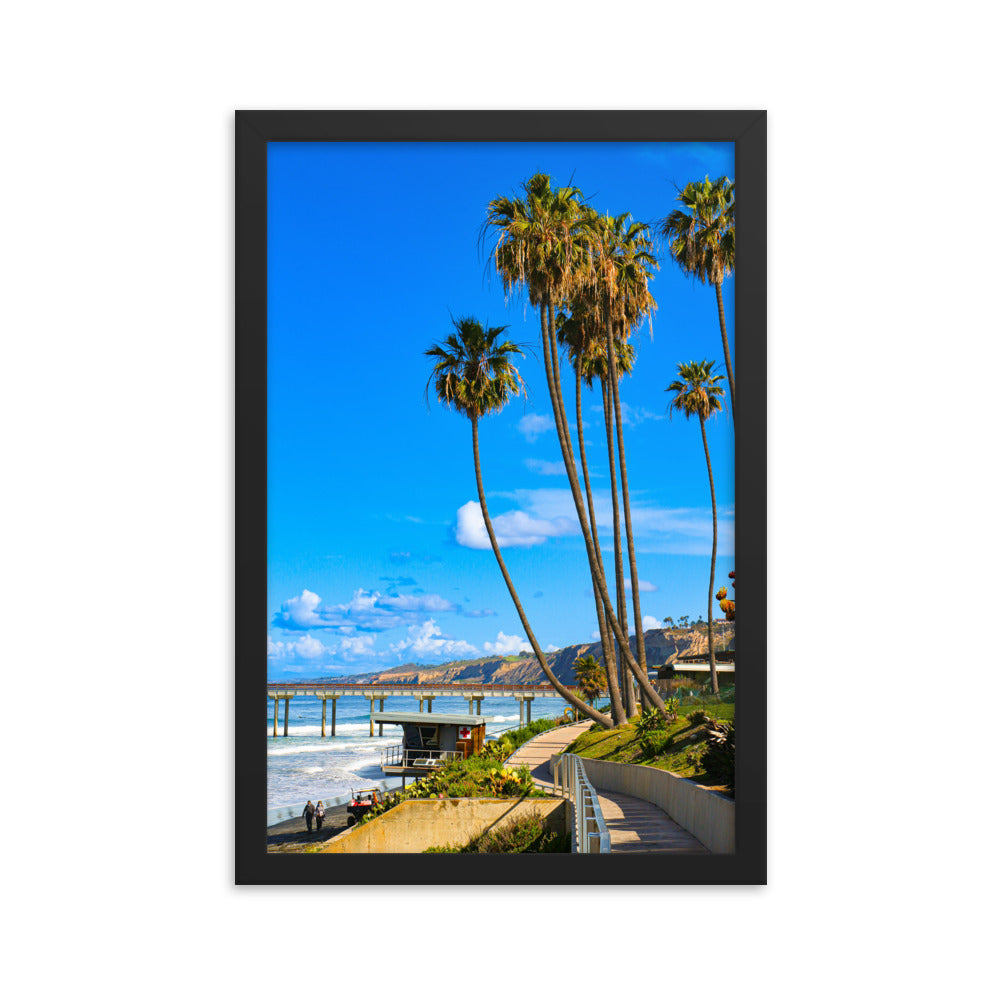 Walking To Scripps Pier Framed poster