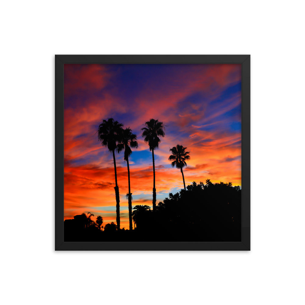 Sunrise Palm Framed poster