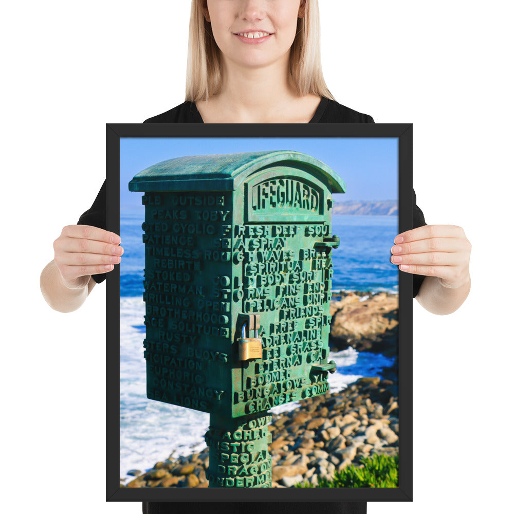La Jolla Green Box Framed poster