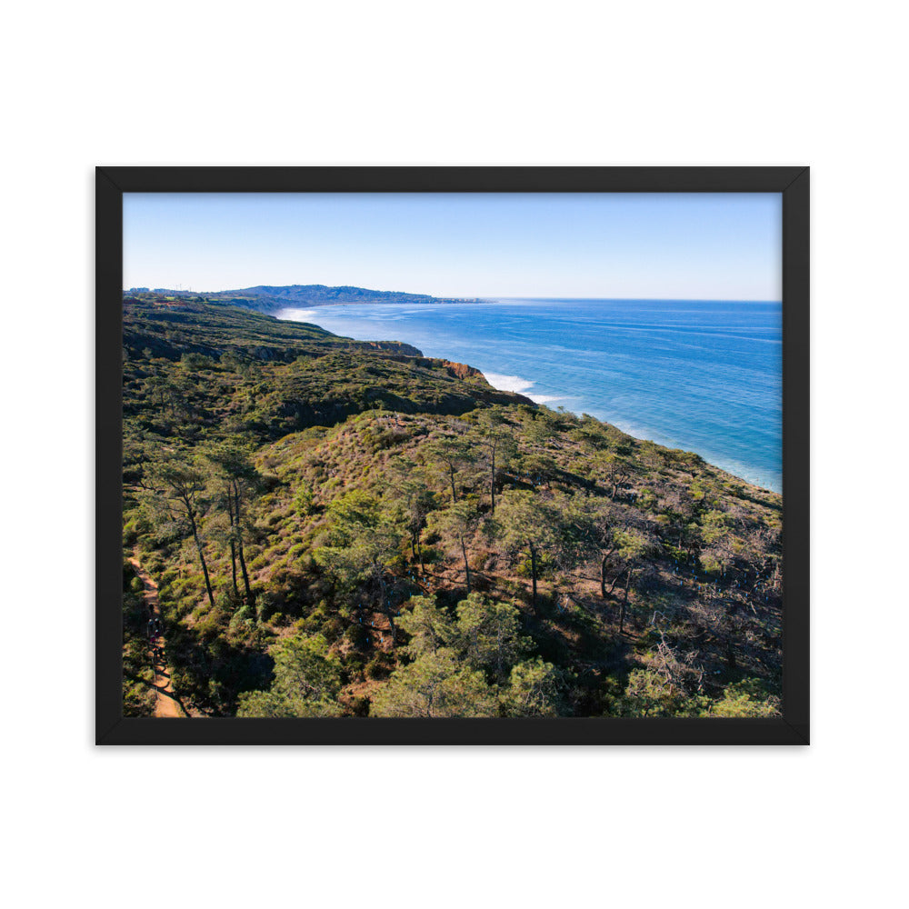 In The Trees Framed poster