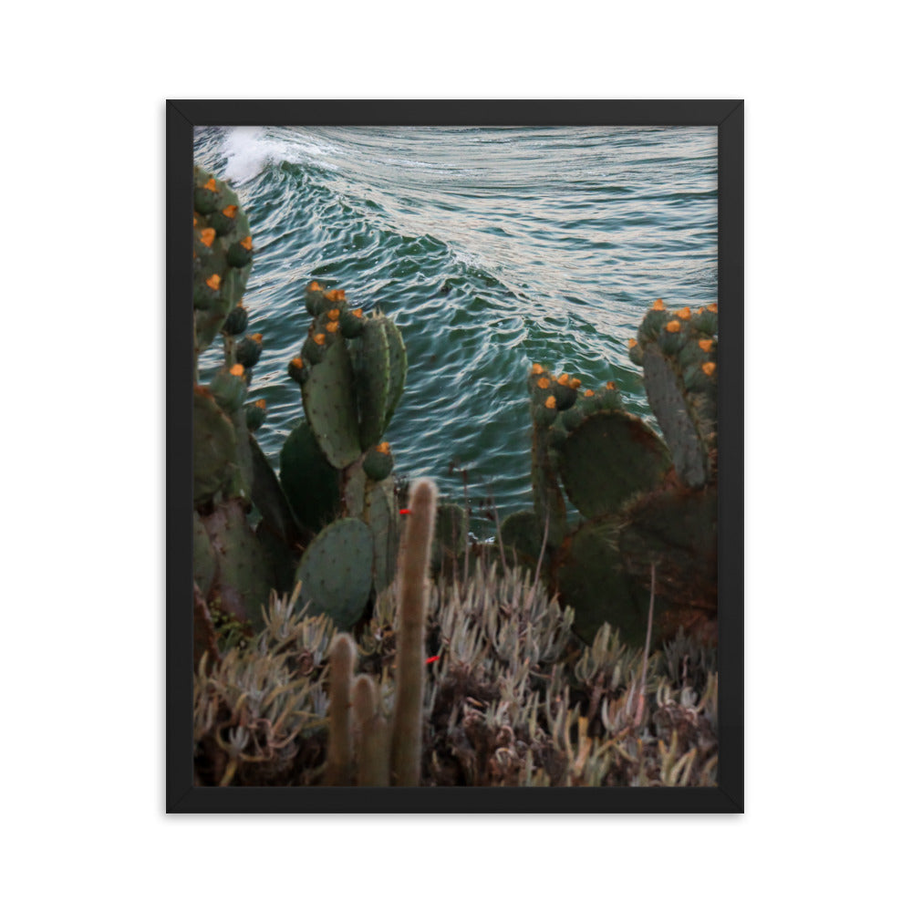 Cactus Surf Framed poster