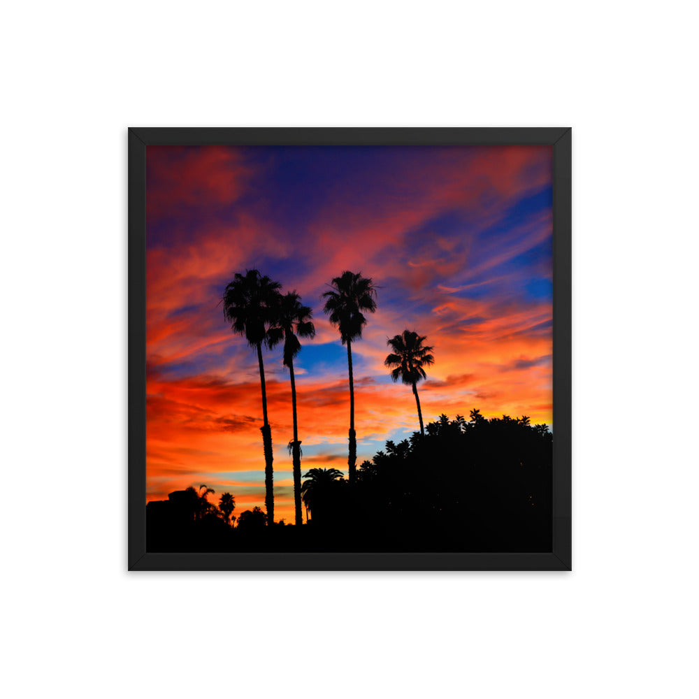 Sunrise Palm Framed poster