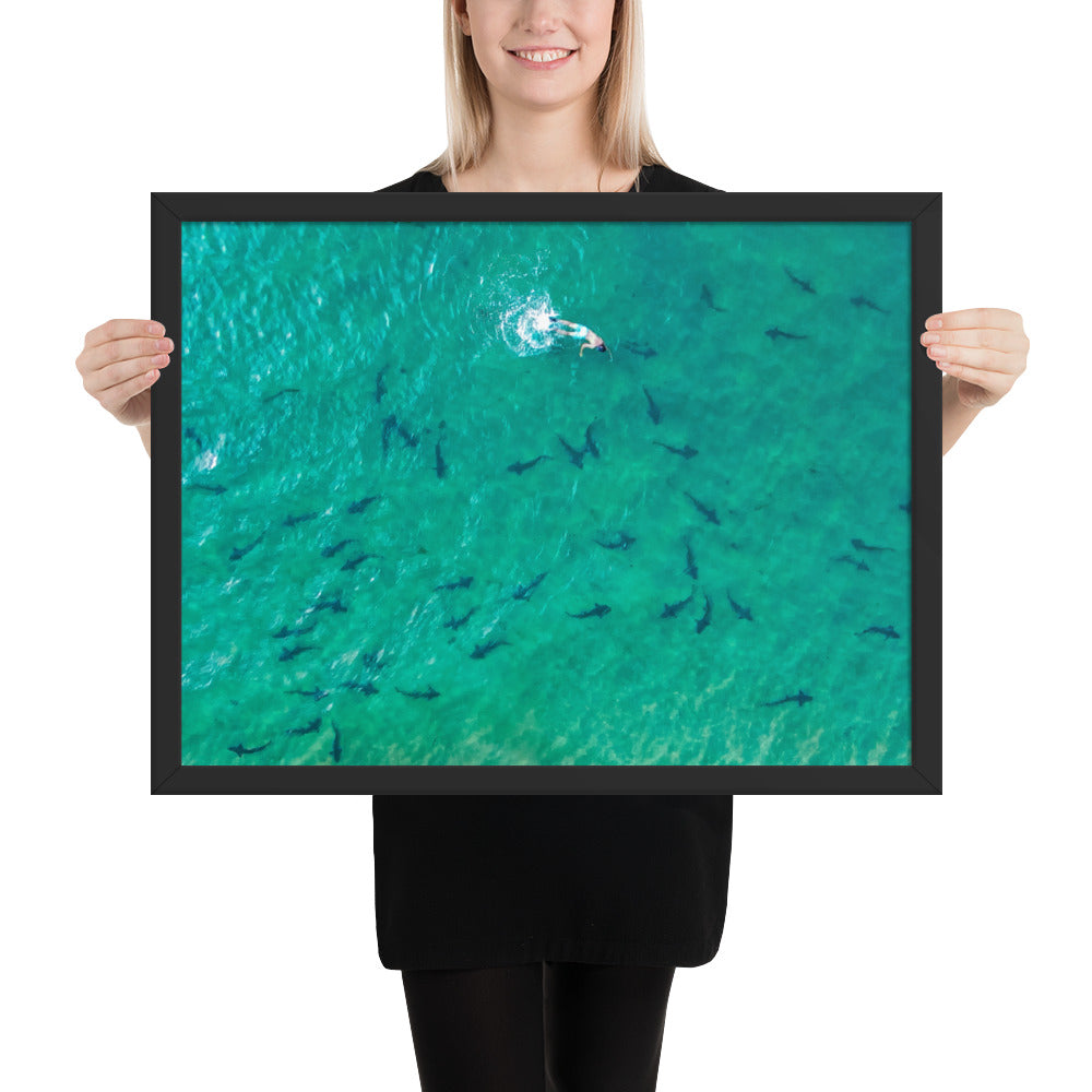Swimming With Sharks in the Sea Framed poster