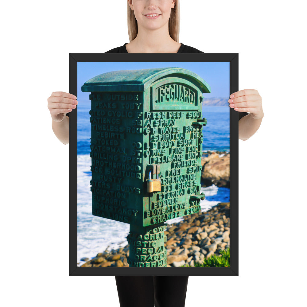 La Jolla Green Box Framed poster