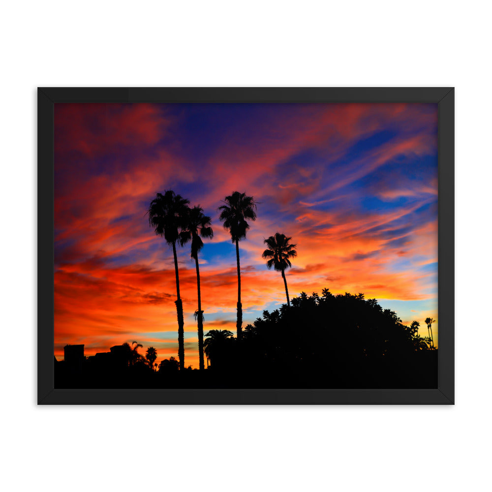 Sunrise Palm Framed poster