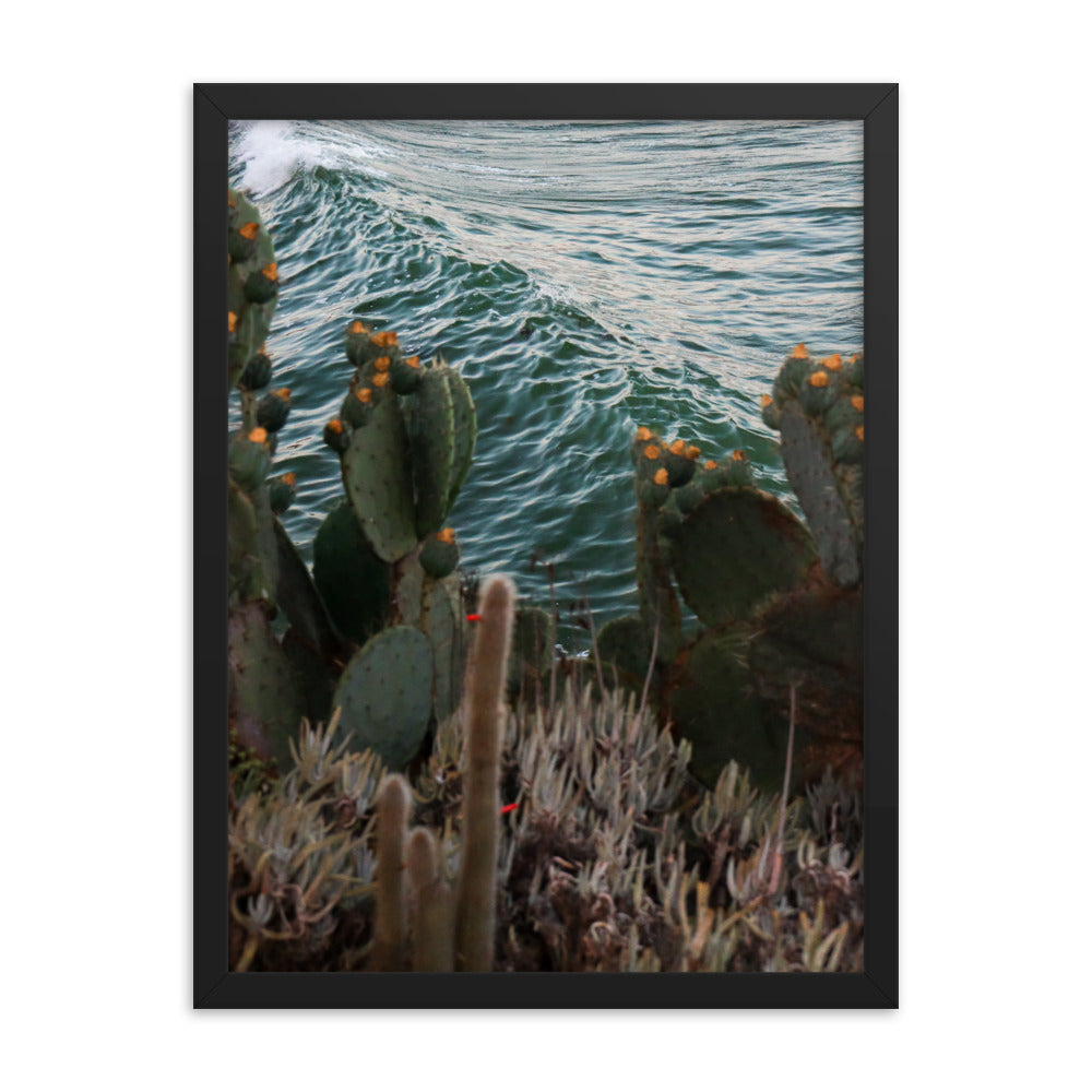 Cactus Surf Framed poster