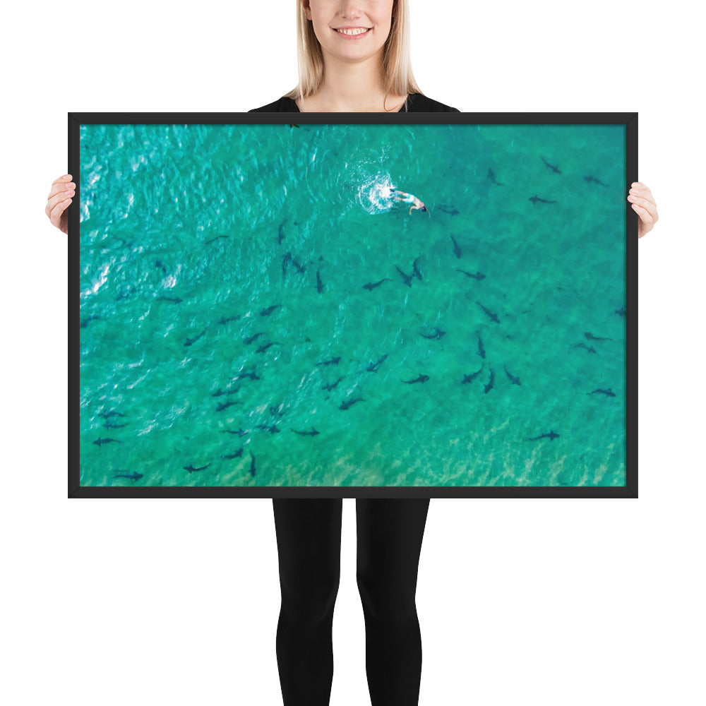 Swimming With Sharks in the Sea Framed poster