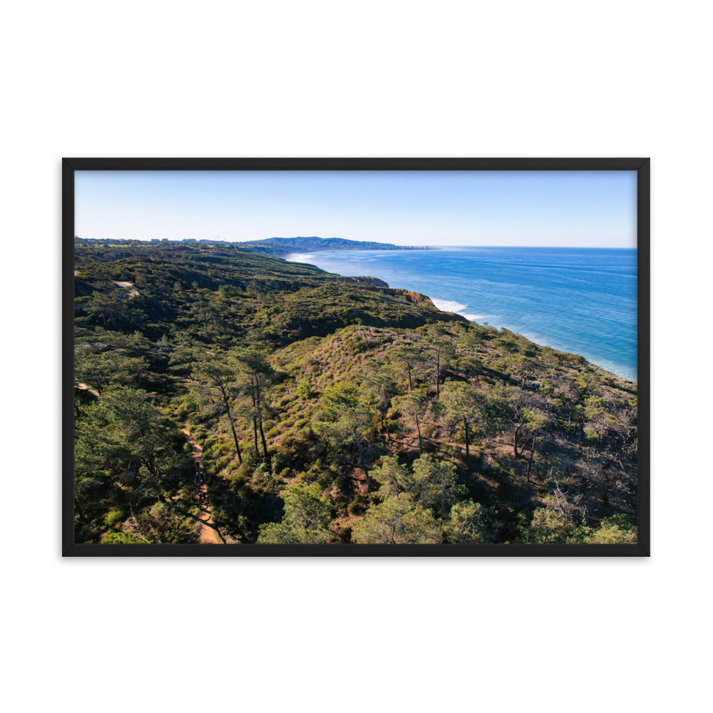 In The Trees Framed poster
