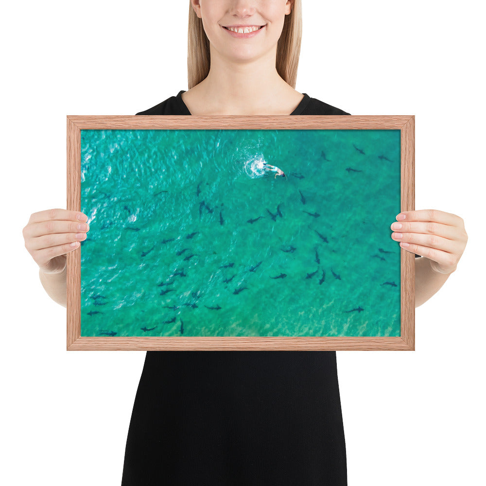 Swimming With Sharks in the Sea Framed poster