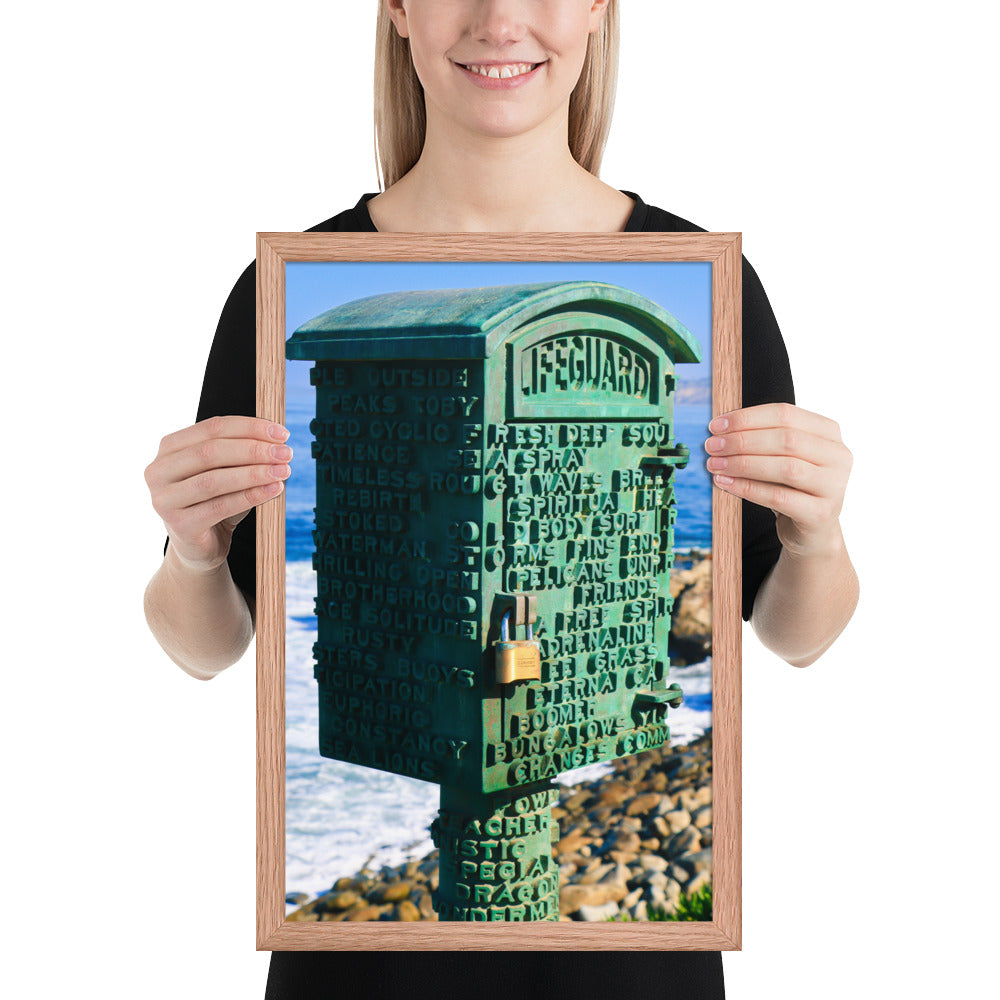 La Jolla Green Box Framed poster