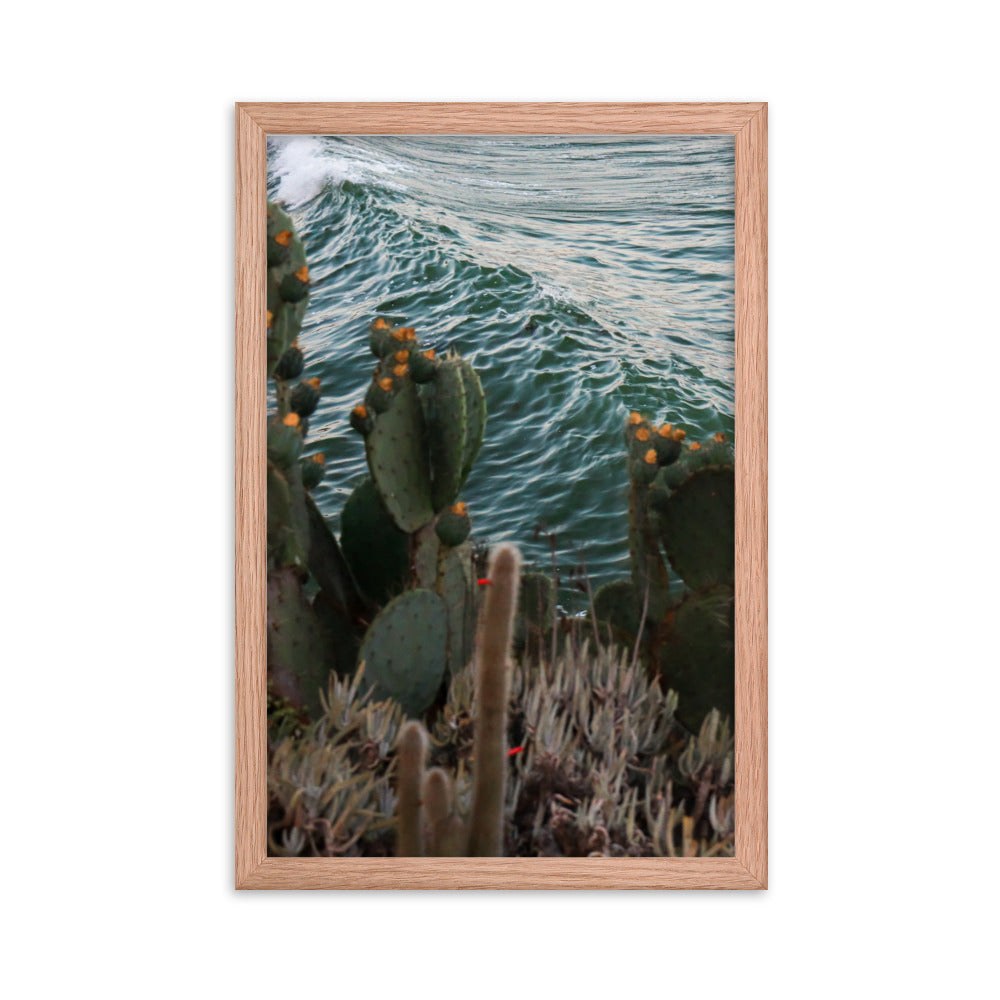 Cactus Surf Framed poster