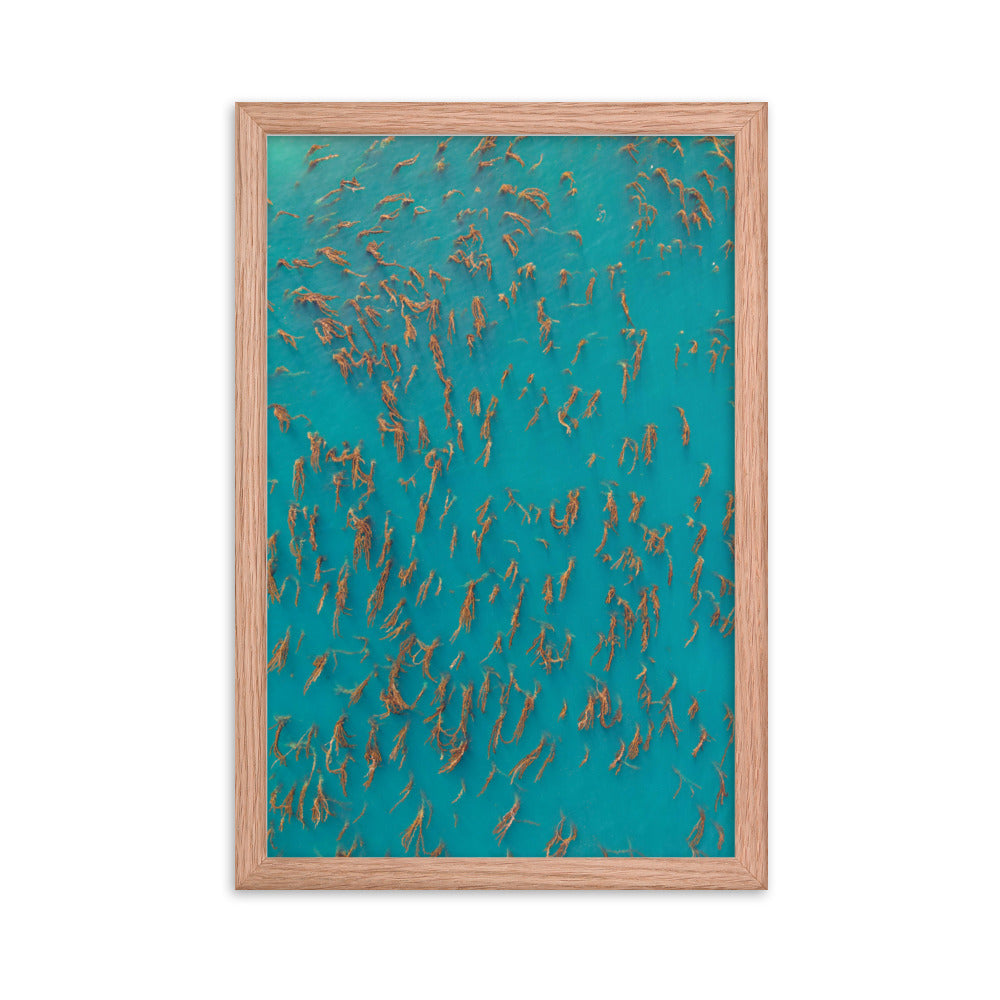 Kelp Forest Framed poster