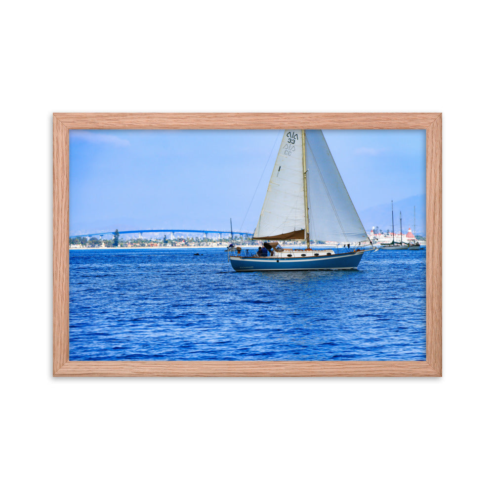 Coronado Saling Framed poster