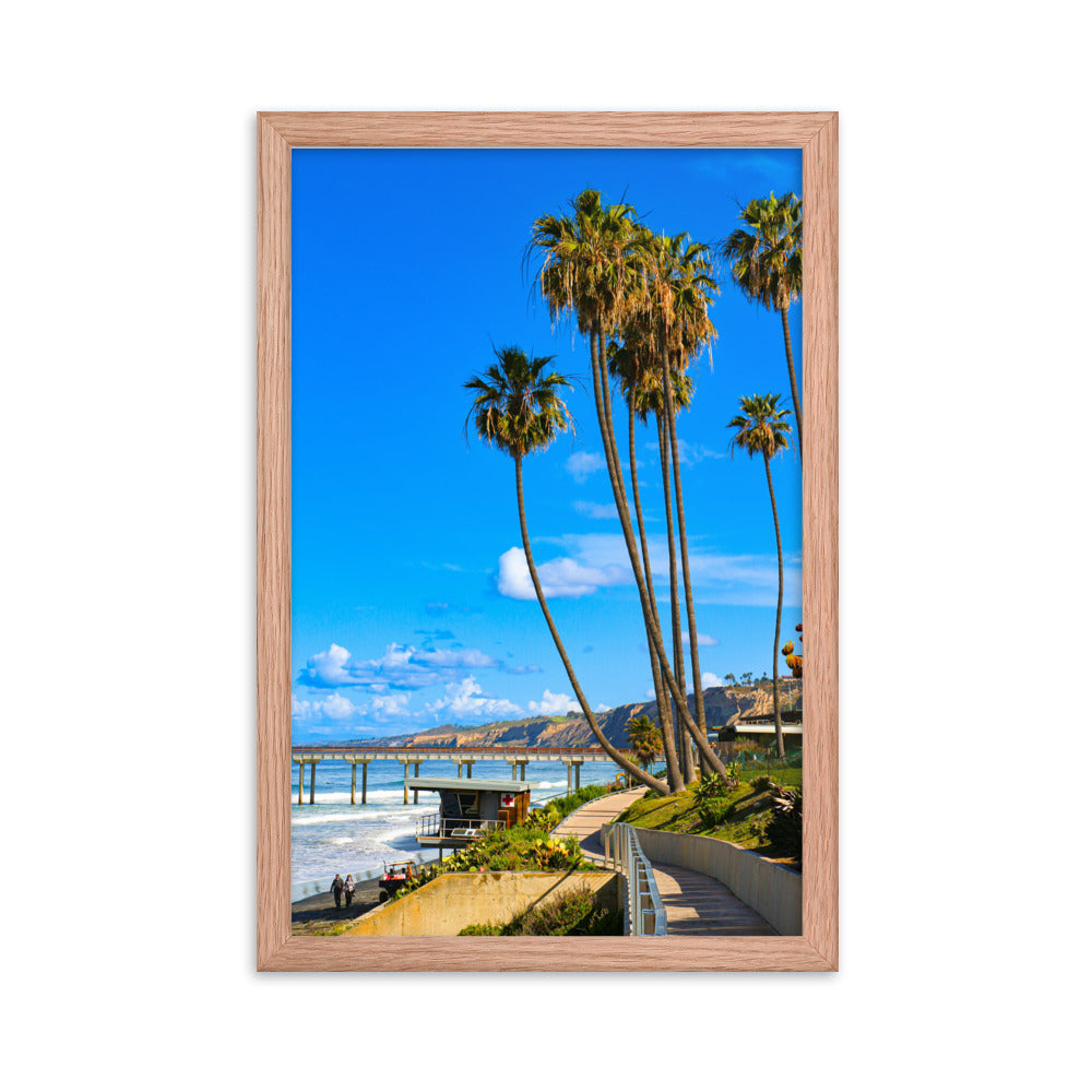 Walking To Scripps Pier Framed poster