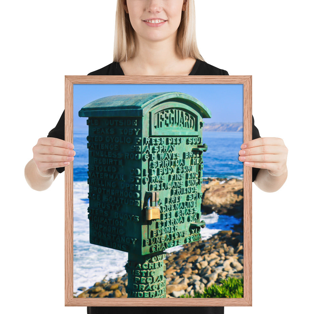 La Jolla Green Box Framed poster