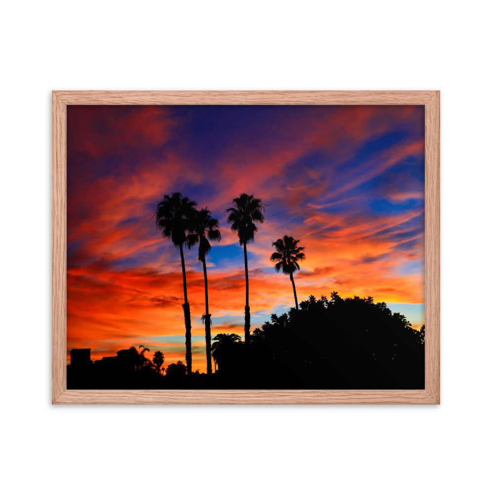Sunrise Palm Framed poster