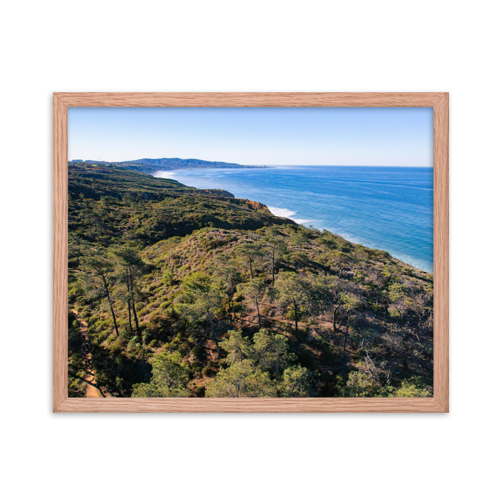 In The Trees Framed poster