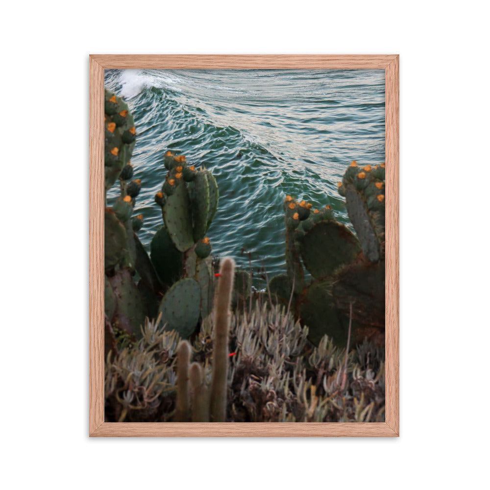 Cactus Surf Framed poster