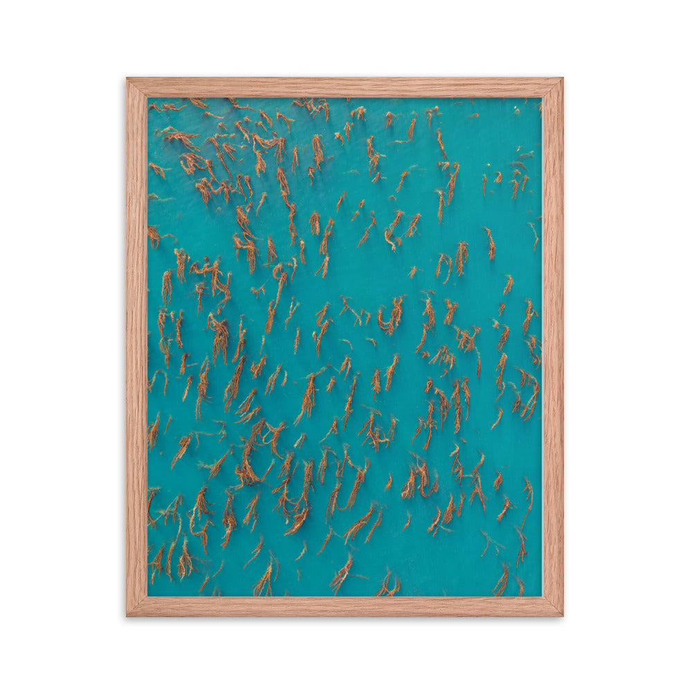 Kelp Forest Framed poster