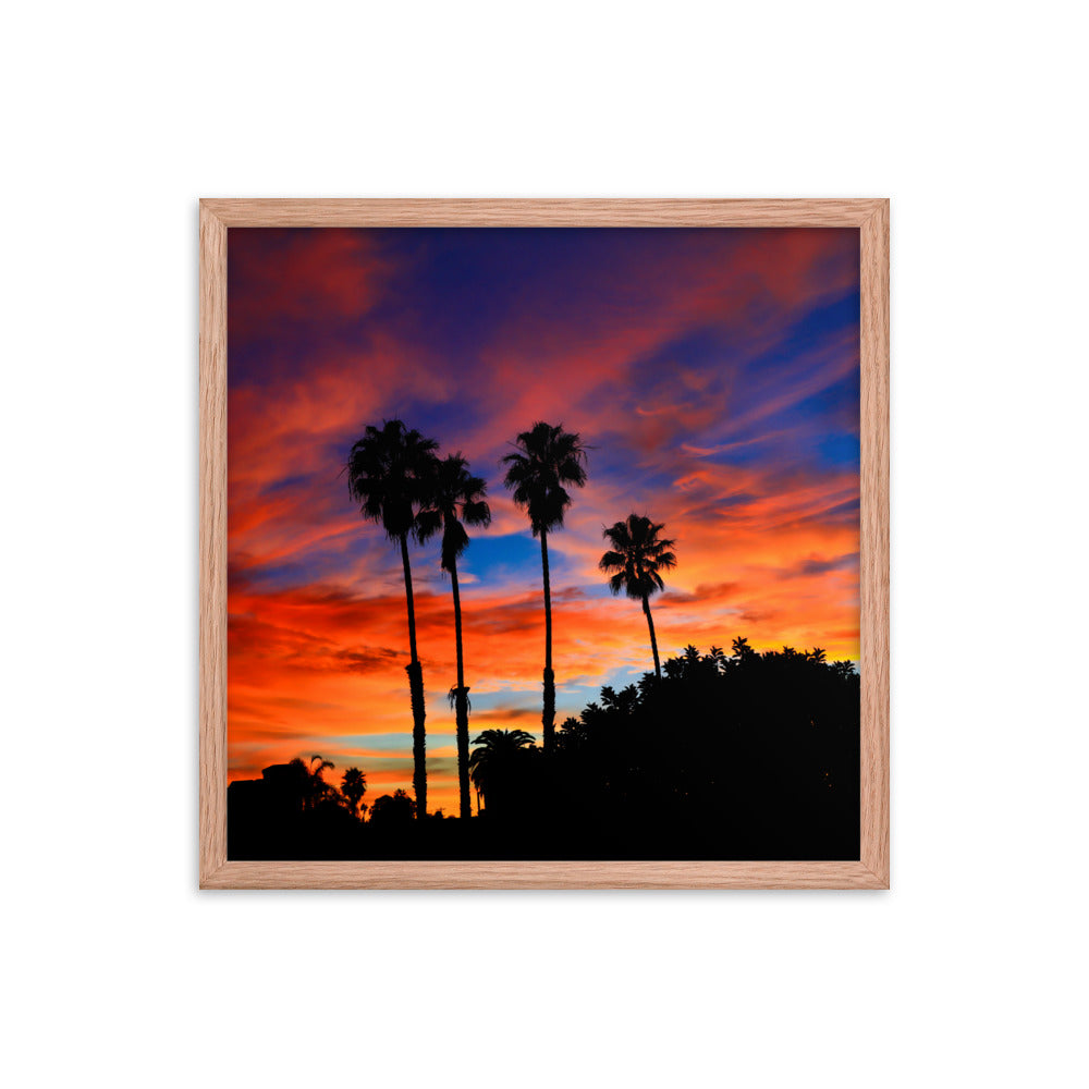 Sunrise Palm Framed poster