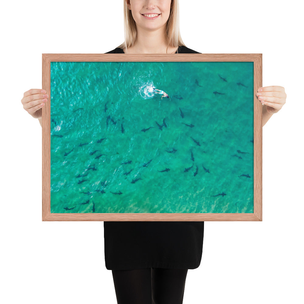 Swimming With Sharks in the Sea Framed poster