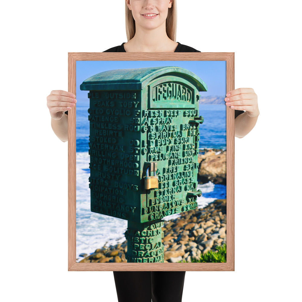 La Jolla Green Box Framed poster