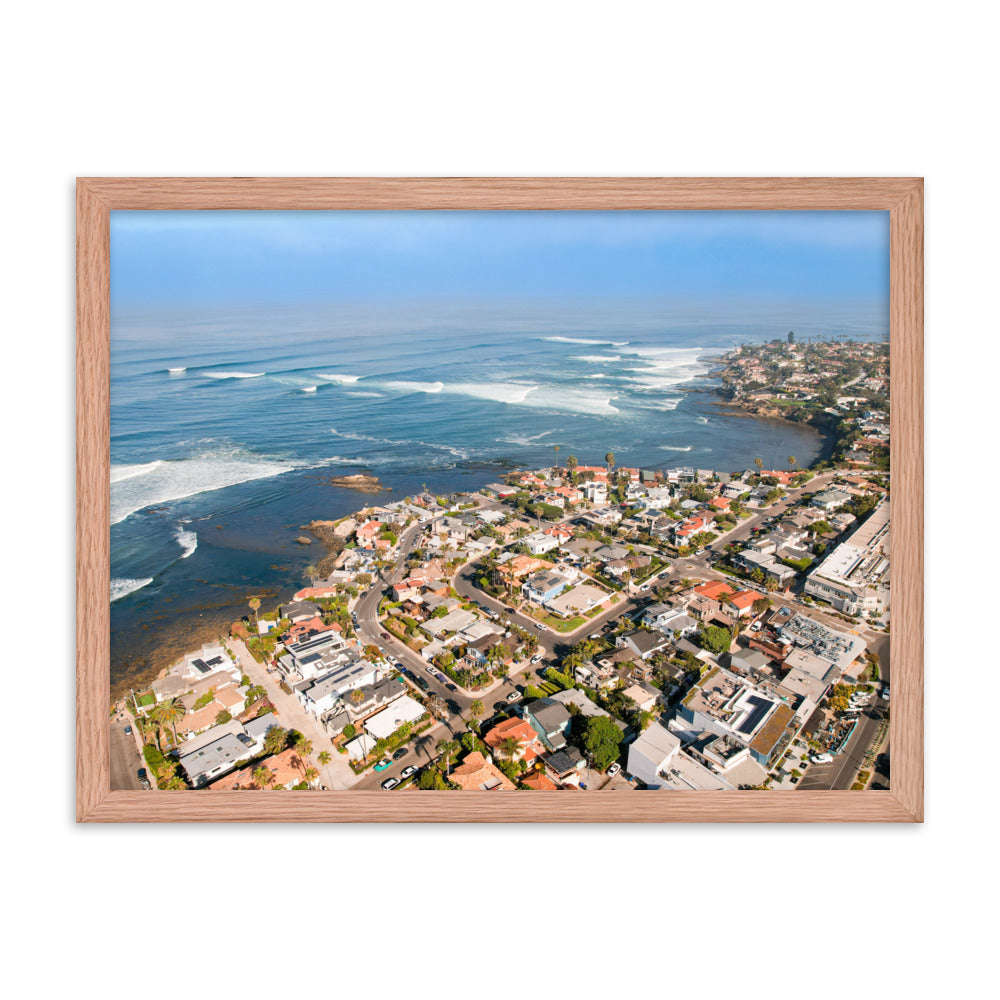 Birdrock Framed poster