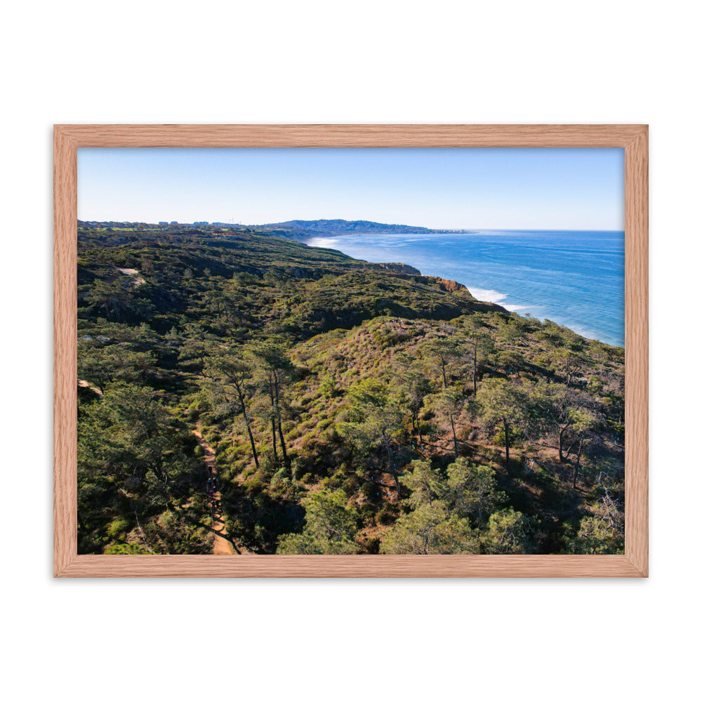 In The Trees Framed poster