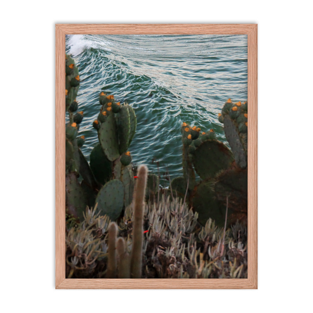 Cactus Surf Framed poster