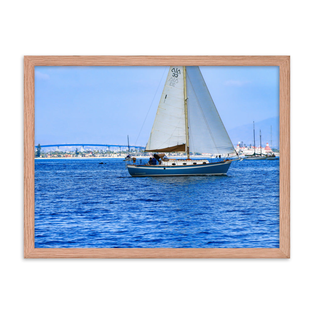 Coronado Saling Framed poster