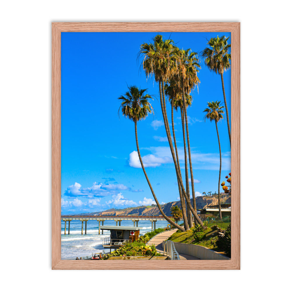 Walking To Scripps Pier Framed poster