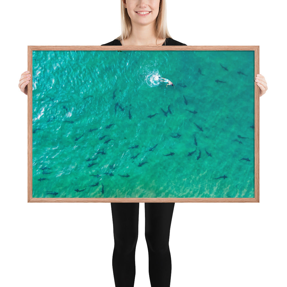 Swimming With Sharks in the Sea Framed poster