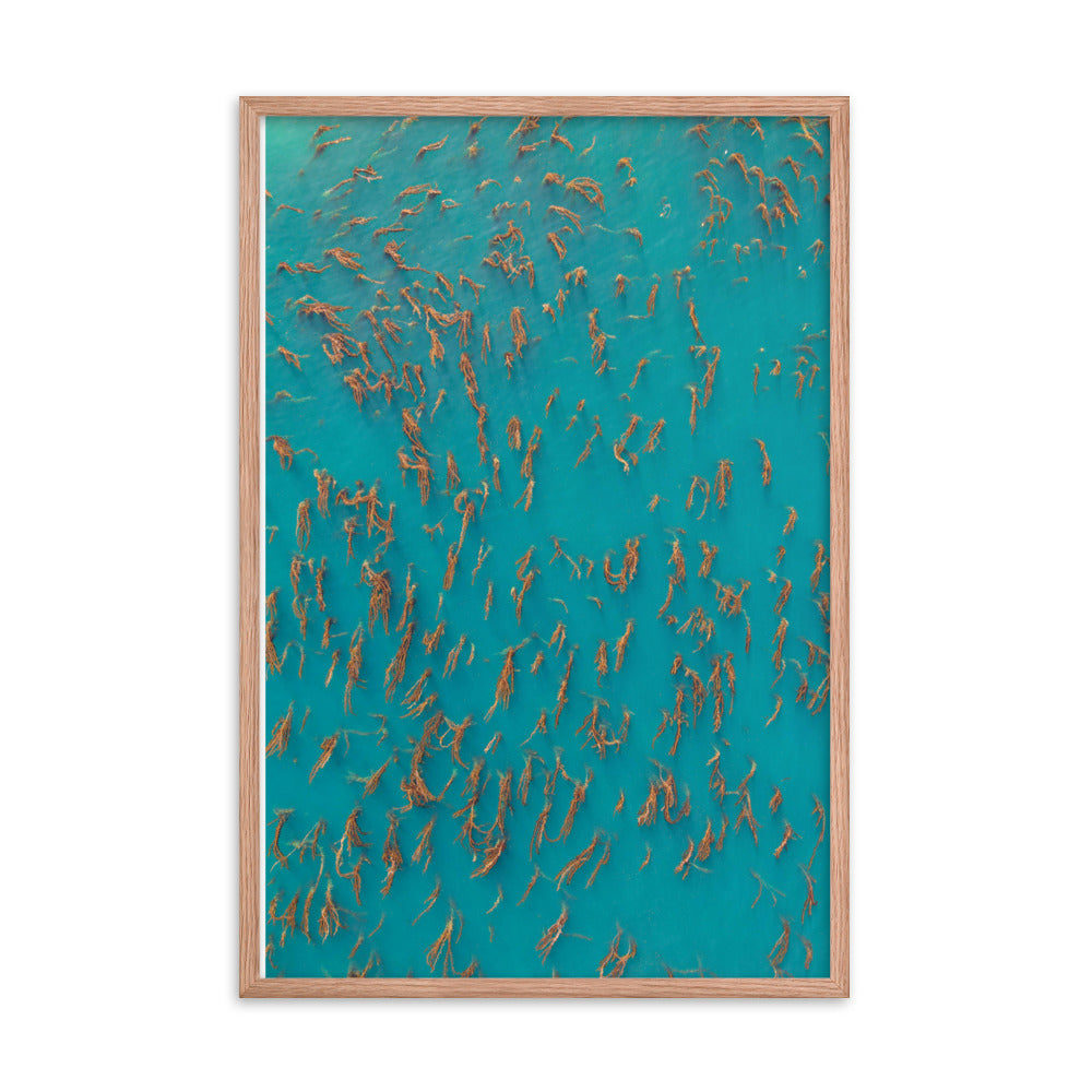 Kelp Forest Framed poster