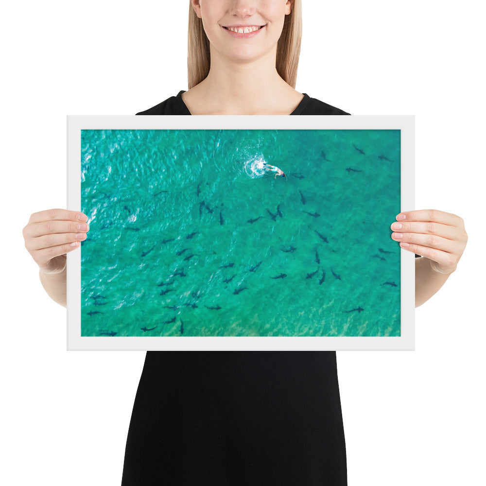 Swimming With Sharks in the Sea Framed poster
