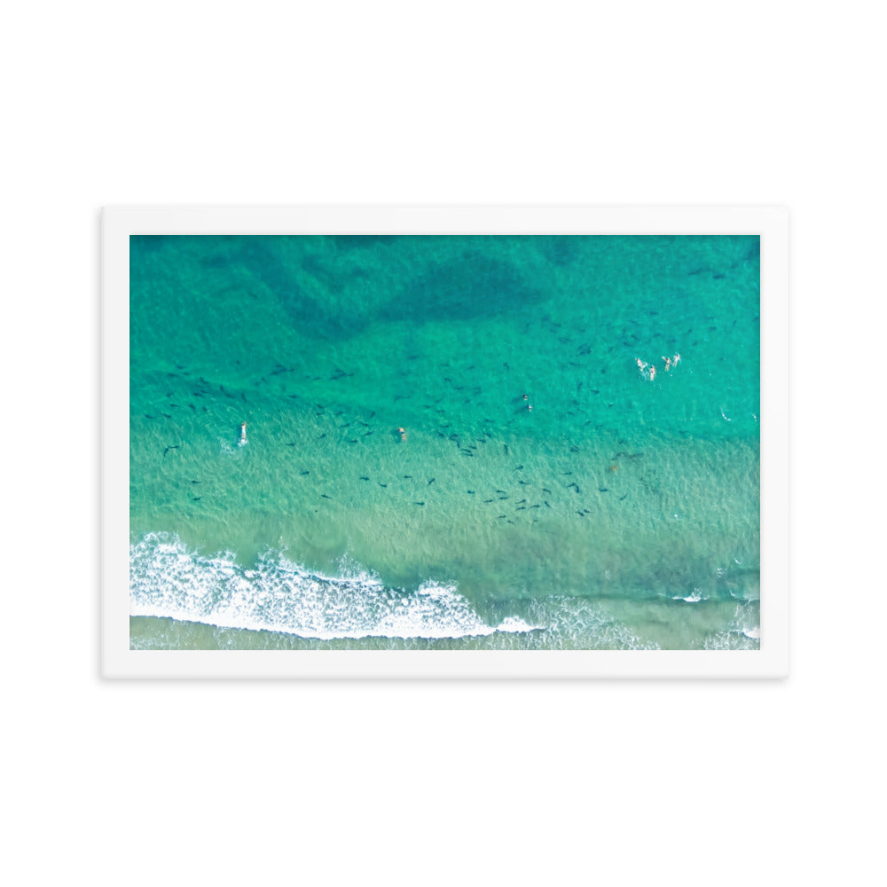 Sharks & swimmers Framed poster
