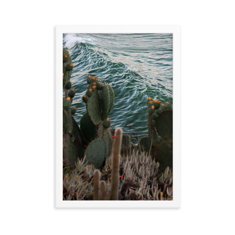 Cactus Surf Framed poster