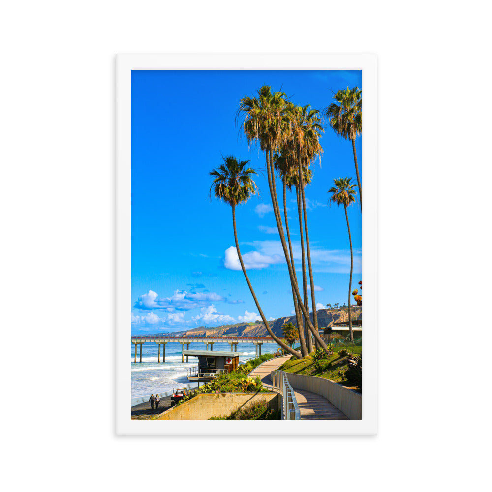 Walking To Scripps Pier Framed poster