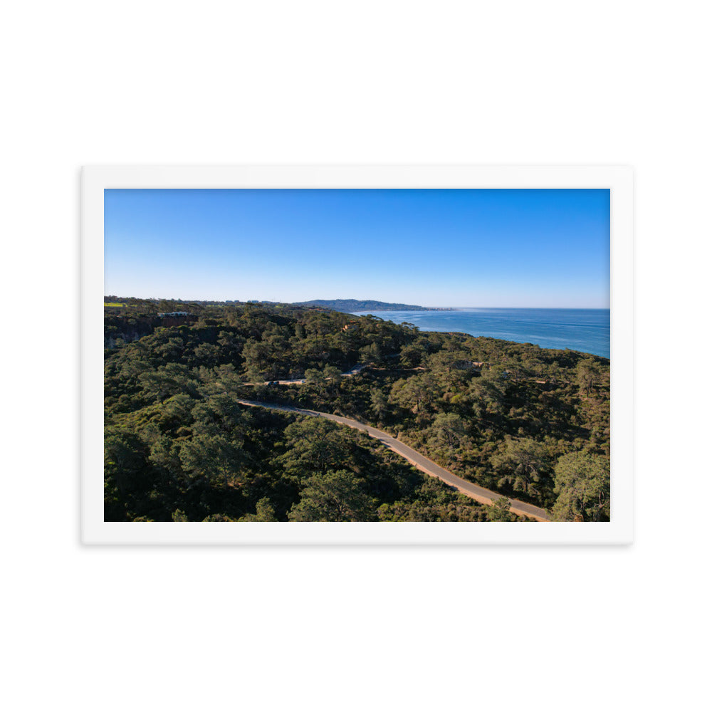 Road To Torrey Pines Framed poster