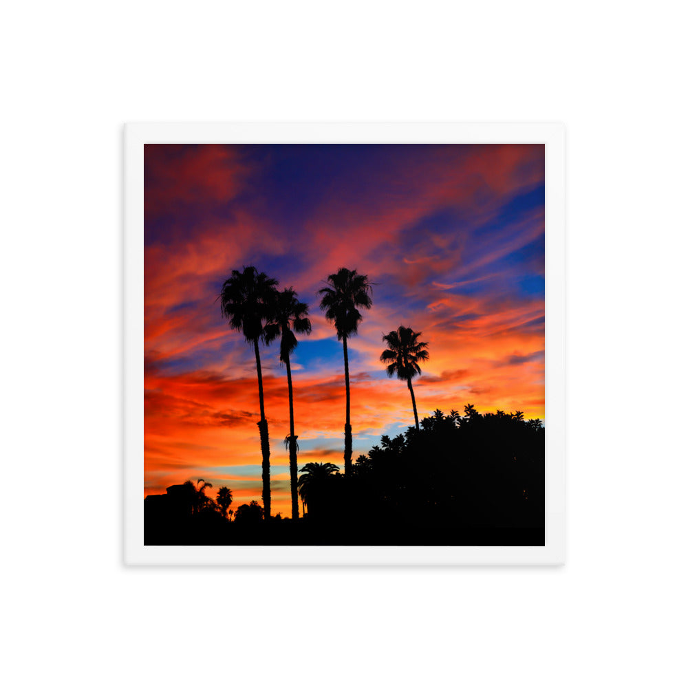 Sunrise Palm Framed poster
