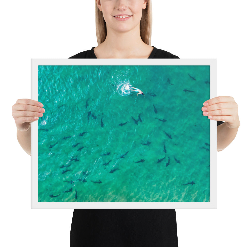 Swimming With Sharks in the Sea Framed poster