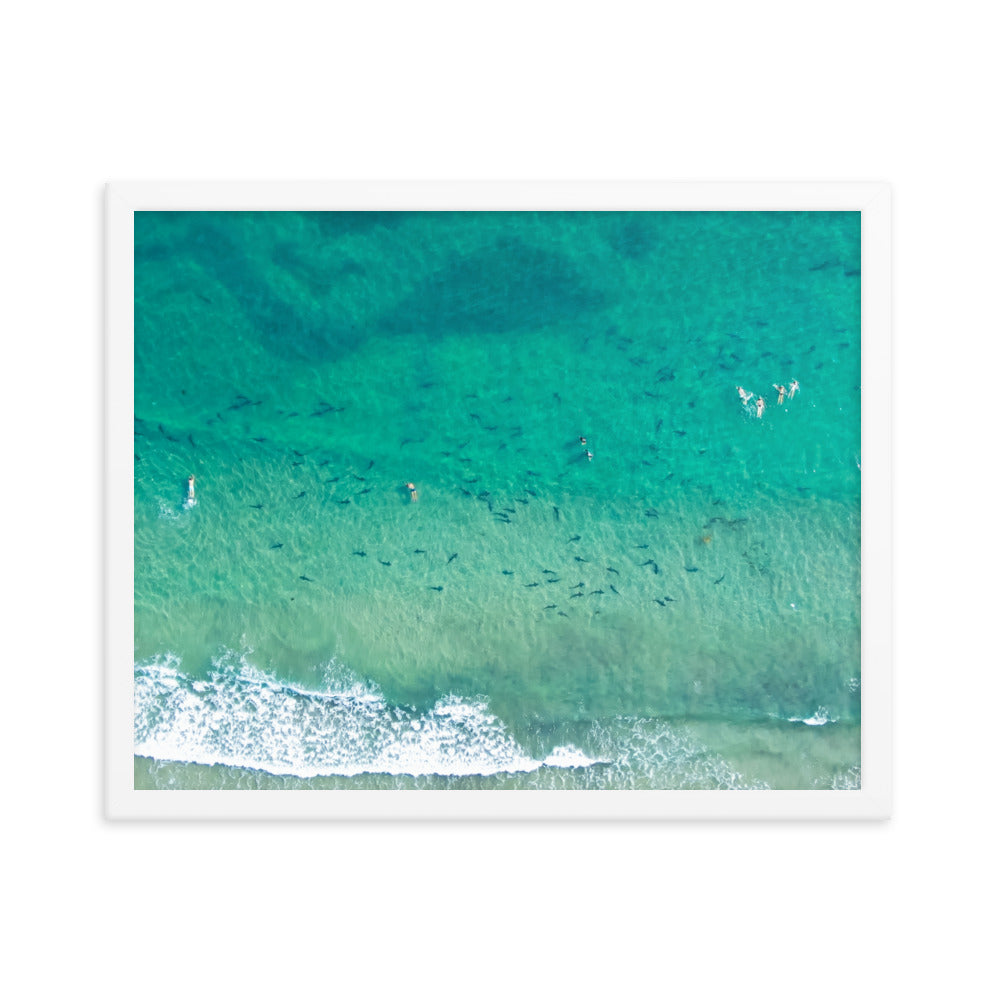 Sharks & swimmers Framed poster