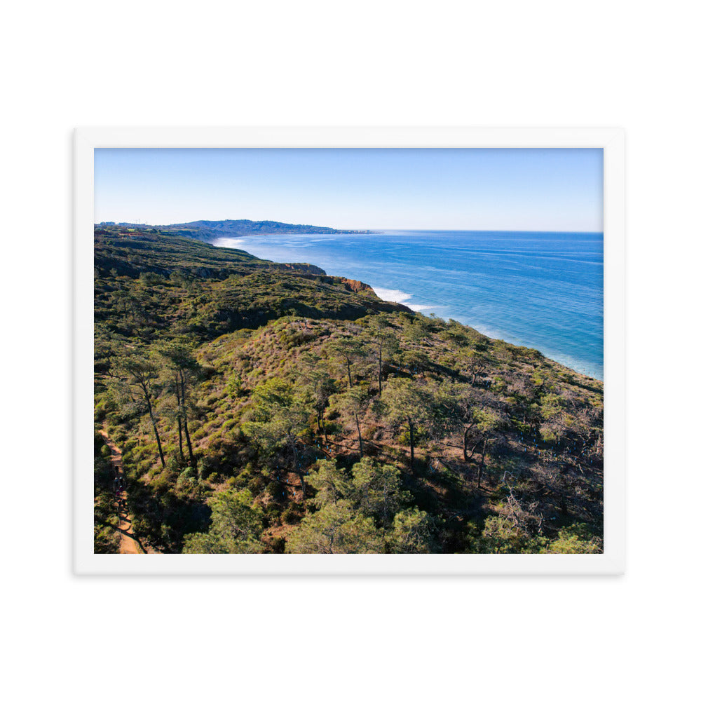 In The Trees Framed poster