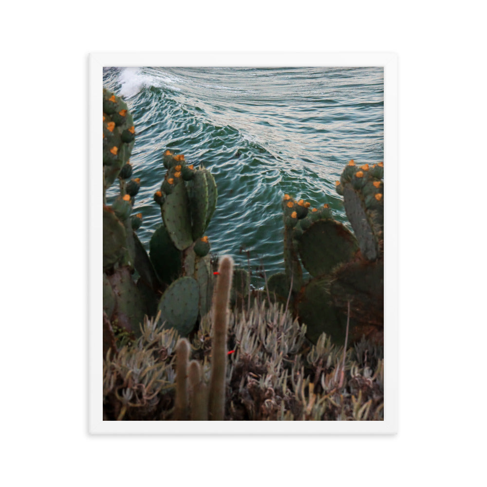 Cactus Surf Framed poster