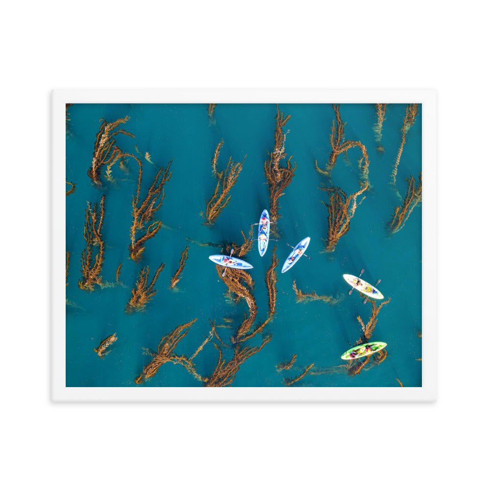 Kayaking In Kelp Framed poster