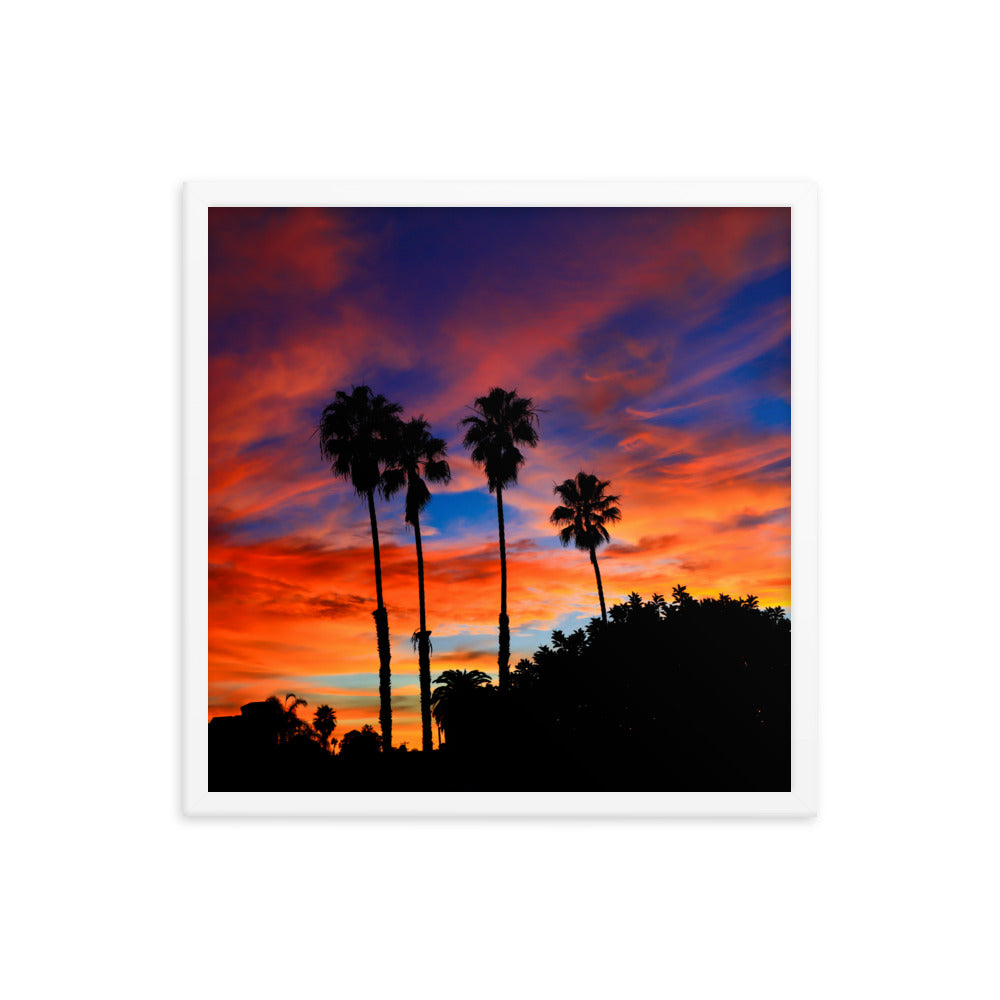 Sunrise Palm Framed poster