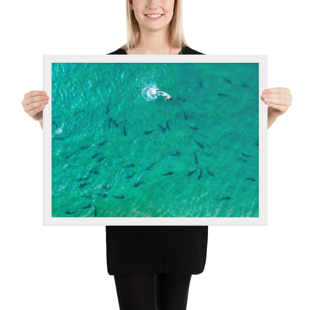 Swimming With Sharks in the Sea Framed poster