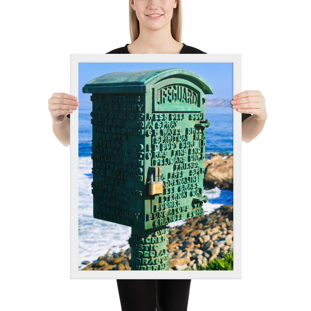 La Jolla Green Box Framed poster